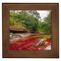 Cano Cristales 1 Framed Tiles by trendistuff