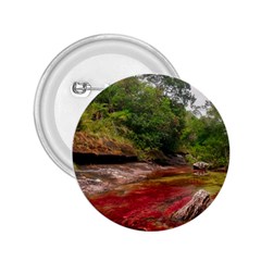 Cano Cristales 1 2 25  Buttons by trendistuff