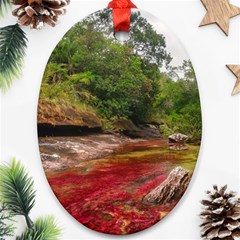 Cano Cristales 1 Ornament (oval)  by trendistuff