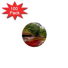 Cano Cristales 1 1  Mini Magnets (100 Pack)  by trendistuff