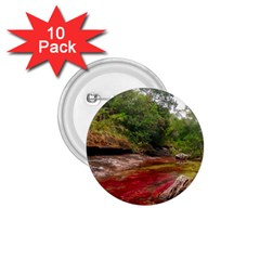 Cano Cristales 1 1 75  Buttons (10 Pack) by trendistuff