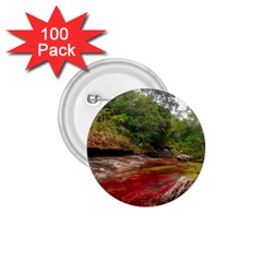 Cano Cristales 1 1 75  Buttons (100 Pack)  by trendistuff