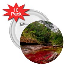 Cano Cristales 1 2 25  Buttons (10 Pack) 