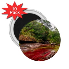 Cano Cristales 1 2 25  Magnets (10 Pack)  by trendistuff