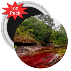 Cano Cristales 1 3  Magnets (100 Pack) by trendistuff