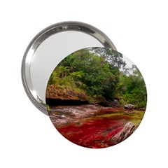 Cano Cristales 1 2 25  Handbag Mirrors by trendistuff