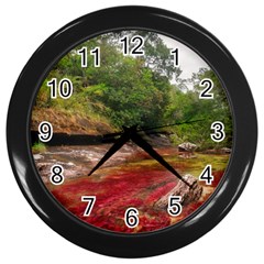 Cano Cristales 1 Wall Clocks (black) by trendistuff