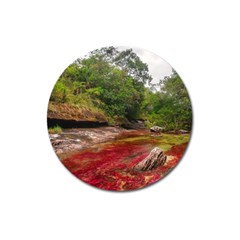 Cano Cristales 1 Magnet 3  (round) by trendistuff