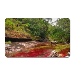 Cano Cristales 1 Magnet (rectangular) by trendistuff