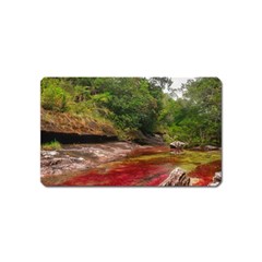 Cano Cristales 1 Magnet (name Card) by trendistuff