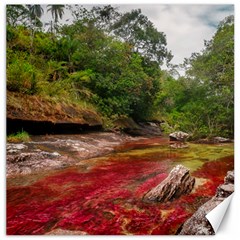 Cano Cristales 1 Canvas 12  X 12   by trendistuff