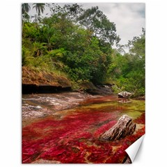 Cano Cristales 1 Canvas 12  X 16  