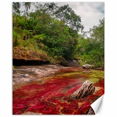 Cano Cristales 1 Canvas 16  X 20   by trendistuff