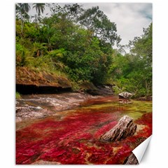 Cano Cristales 1 Canvas 20  X 24  