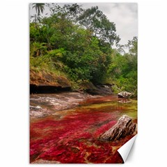 Cano Cristales 1 Canvas 24  X 36 