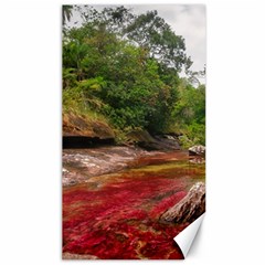 Cano Cristales 1 Canvas 40  X 72   by trendistuff