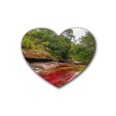 Cano Cristales 1 Rubber Coaster (heart)  by trendistuff