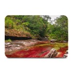 CANO CRISTALES 1 Plate Mats 18 x12  Plate Mat