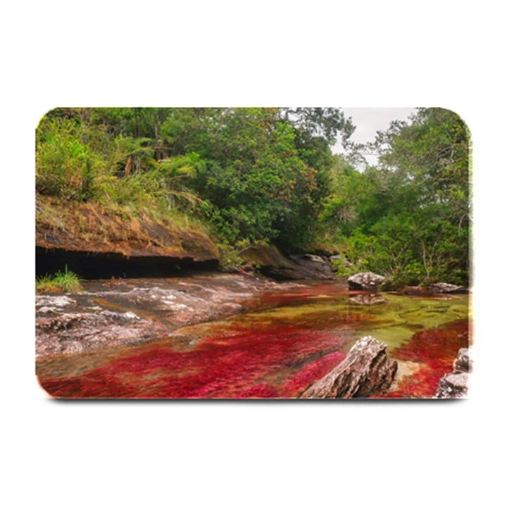 CANO CRISTALES 1 Plate Mats