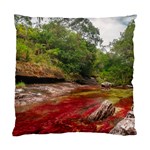 CANO CRISTALES 1 Standard Cushion Case (One Side)  Front