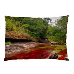 Cano Cristales 1 Pillow Cases