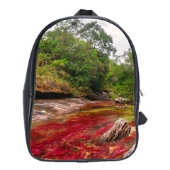 Cano Cristales 1 School Bags(large)  by trendistuff