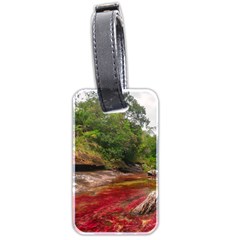 Cano Cristales 1 Luggage Tags (two Sides) by trendistuff