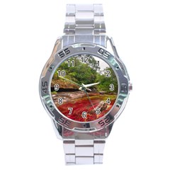 Cano Cristales 1 Stainless Steel Men s Watch by trendistuff