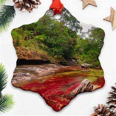 Cano Cristales 1 Ornament (snowflake)  by trendistuff