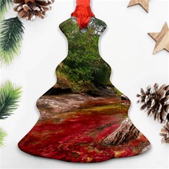 Cano Cristales 1 Ornament (christmas Tree) by trendistuff