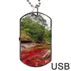 Cano Cristales 1 Dog Tag Usb Flash (one Side) by trendistuff