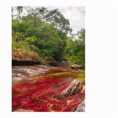 Cano Cristales 1 Small Garden Flag (two Sides) by trendistuff