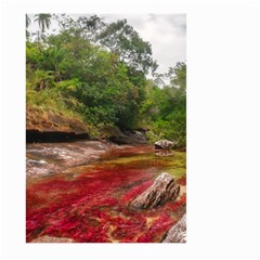 Cano Cristales 1 Large Garden Flag (two Sides) by trendistuff