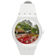 Cano Cristales 1 Round Plastic Sport Watch (m) by trendistuff