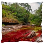 CANO CRISTALES 1 Large Cushion Cases (One Side)  Front