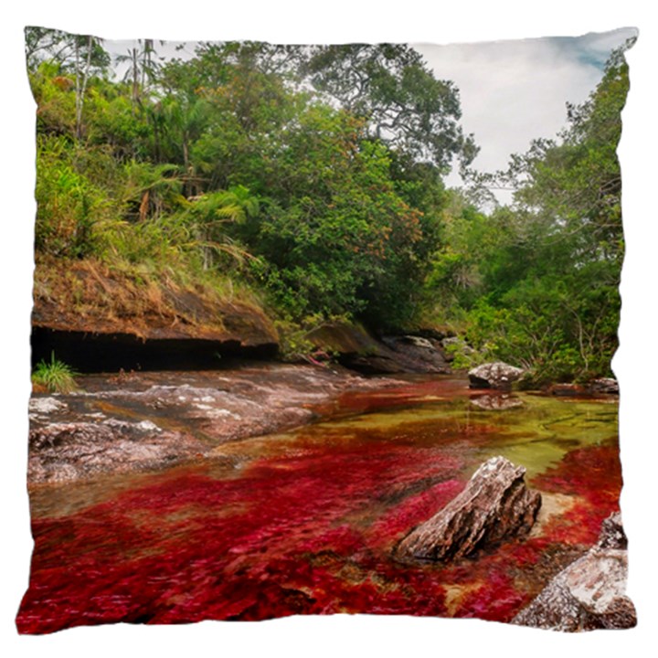 CANO CRISTALES 1 Large Cushion Cases (One Side) 