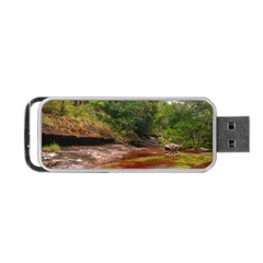 Cano Cristales 1 Portable Usb Flash (two Sides) by trendistuff