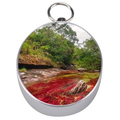 Cano Cristales 1 Silver Compasses