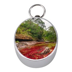 Cano Cristales 1 Mini Silver Compasses by trendistuff