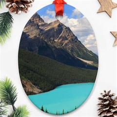 Banff National Park 3 Ornament (oval)  by trendistuff