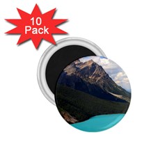 Banff National Park 3 1 75  Magnets (10 Pack)  by trendistuff