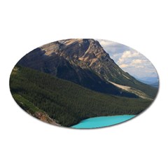 Banff National Park 3 Oval Magnet by trendistuff