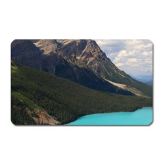 Banff National Park 3 Magnet (rectangular) by trendistuff