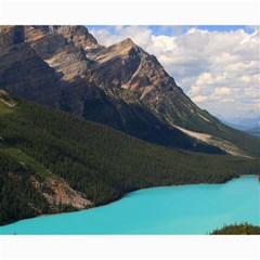 Banff National Park 3 Collage 8  X 10  by trendistuff