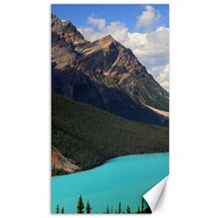 Banff National Park 3 Canvas 40  X 72  