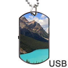 Banff National Park 3 Dog Tag Usb Flash (two Sides) 