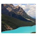 BANFF NATIONAL PARK 3 Double Sided Flano Blanket (Small)  50 x40  Blanket Back