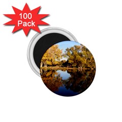 Autumn Lake 1 75  Magnets (100 Pack) 