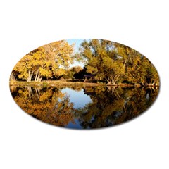 Autumn Lake Oval Magnet by trendistuff