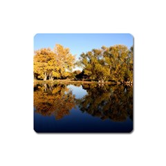 Autumn Lake Square Magnet by trendistuff